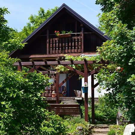 Na Okić - a private forest oasis Sveti Martin pod Okicem Exterior foto