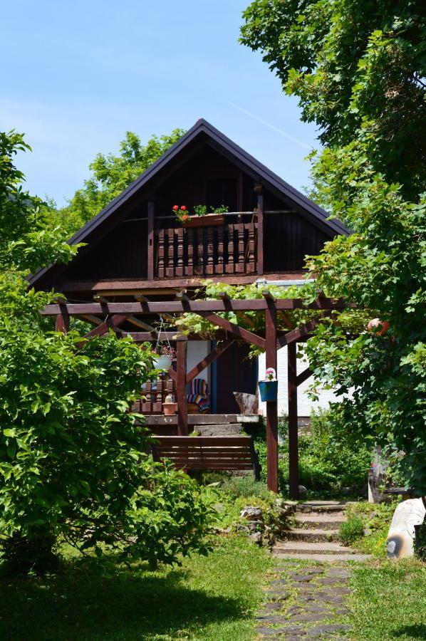 Na Okić - a private forest oasis Sveti Martin pod Okicem Exterior foto