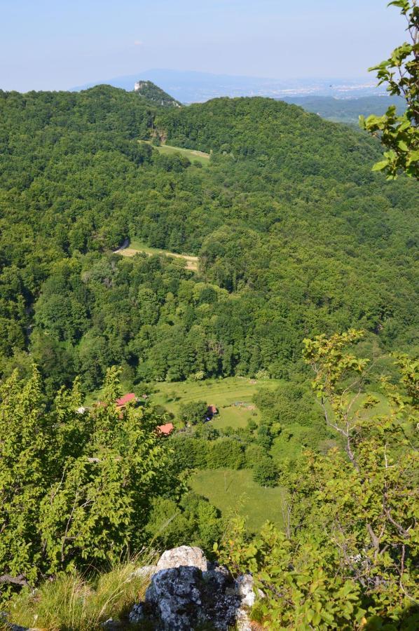 Na Okić - a private forest oasis Sveti Martin pod Okicem Exterior foto