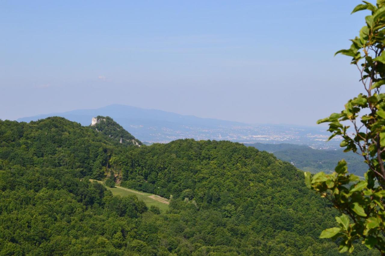 Na Okić - a private forest oasis Sveti Martin pod Okicem Exterior foto