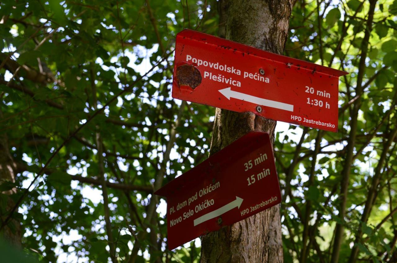 Na Okić - a private forest oasis Sveti Martin pod Okicem Exterior foto