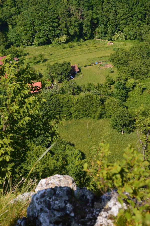 Na Okić - a private forest oasis Sveti Martin pod Okicem Exterior foto