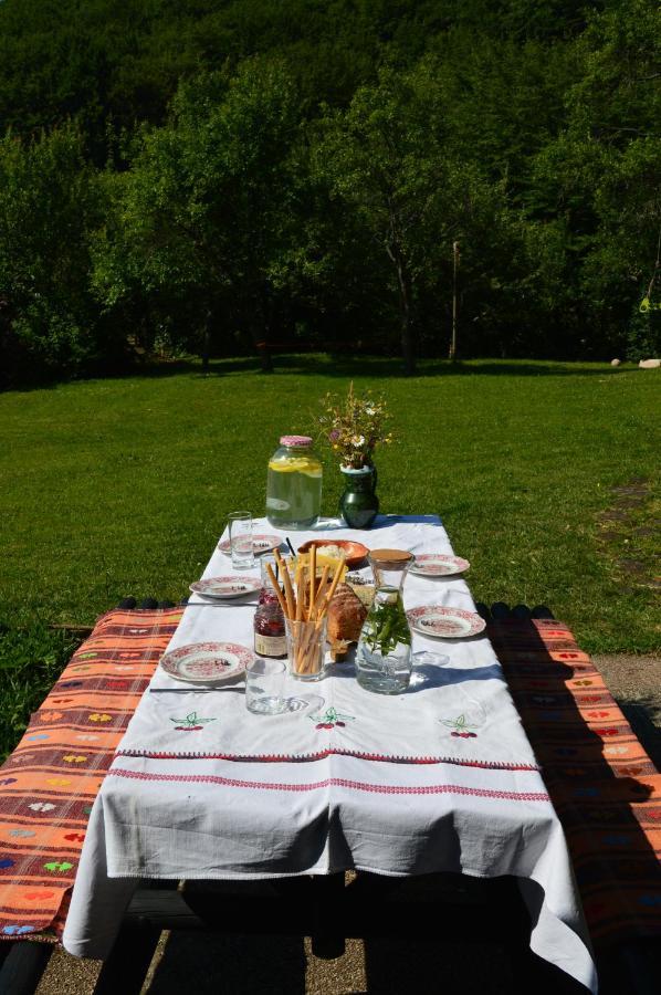 Na Okić - a private forest oasis Sveti Martin pod Okicem Exterior foto