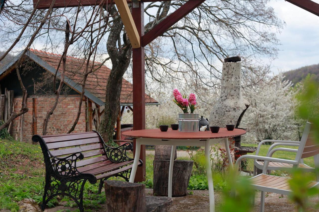 Na Okić - a private forest oasis Sveti Martin pod Okicem Exterior foto