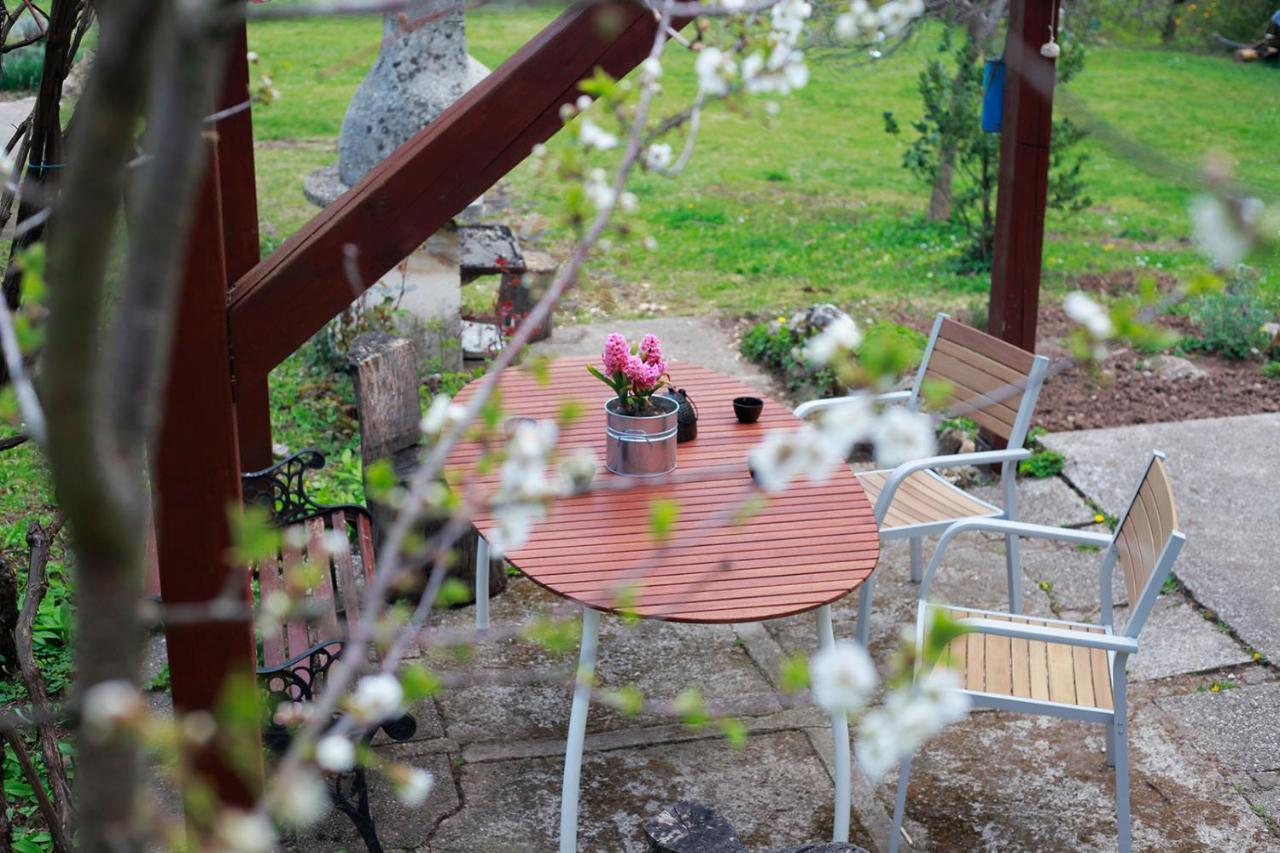Na Okić - a private forest oasis Sveti Martin pod Okicem Exterior foto