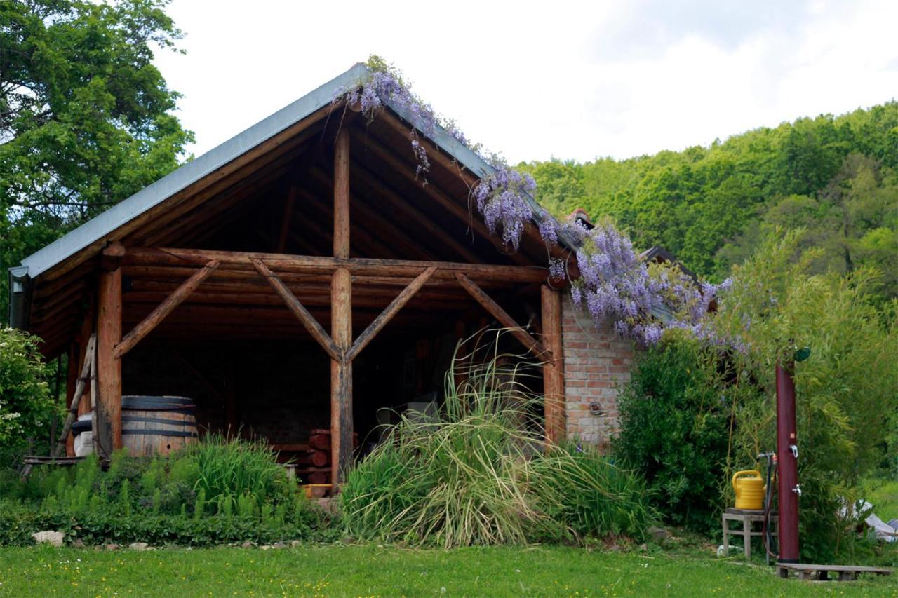 Na Okić - a private forest oasis Sveti Martin pod Okicem Exterior foto