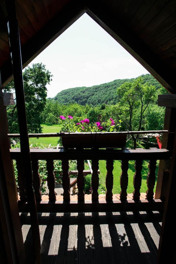 Na Okić - a private forest oasis Sveti Martin pod Okicem Exterior foto