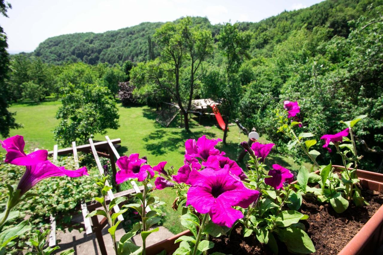 Na Okić - a private forest oasis Sveti Martin pod Okicem Exterior foto