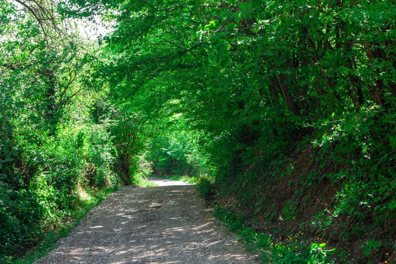 Na Okić - a private forest oasis Sveti Martin pod Okicem Exterior foto