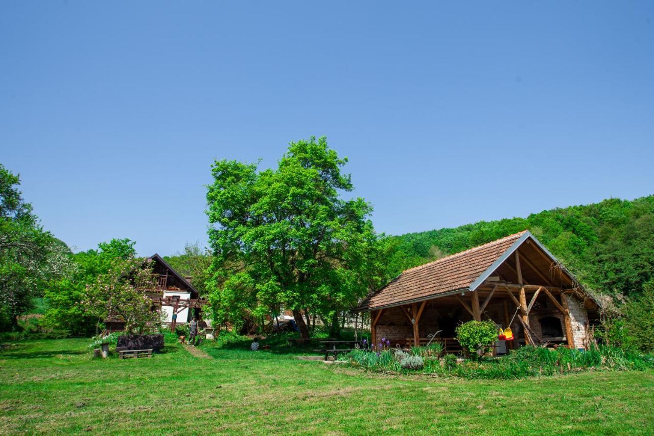 Na Okić - a private forest oasis Sveti Martin pod Okicem Exterior foto