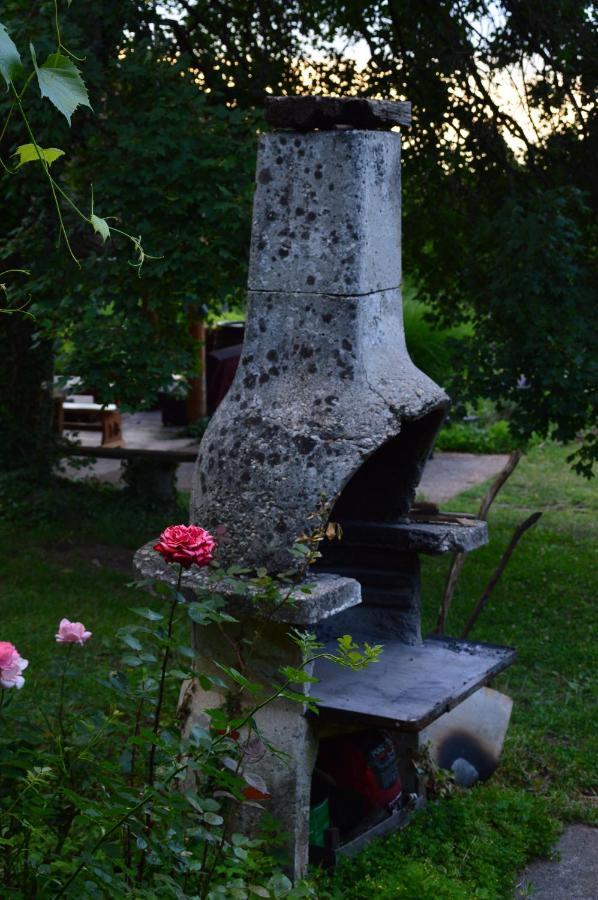 Na Okić - a private forest oasis Sveti Martin pod Okicem Exterior foto